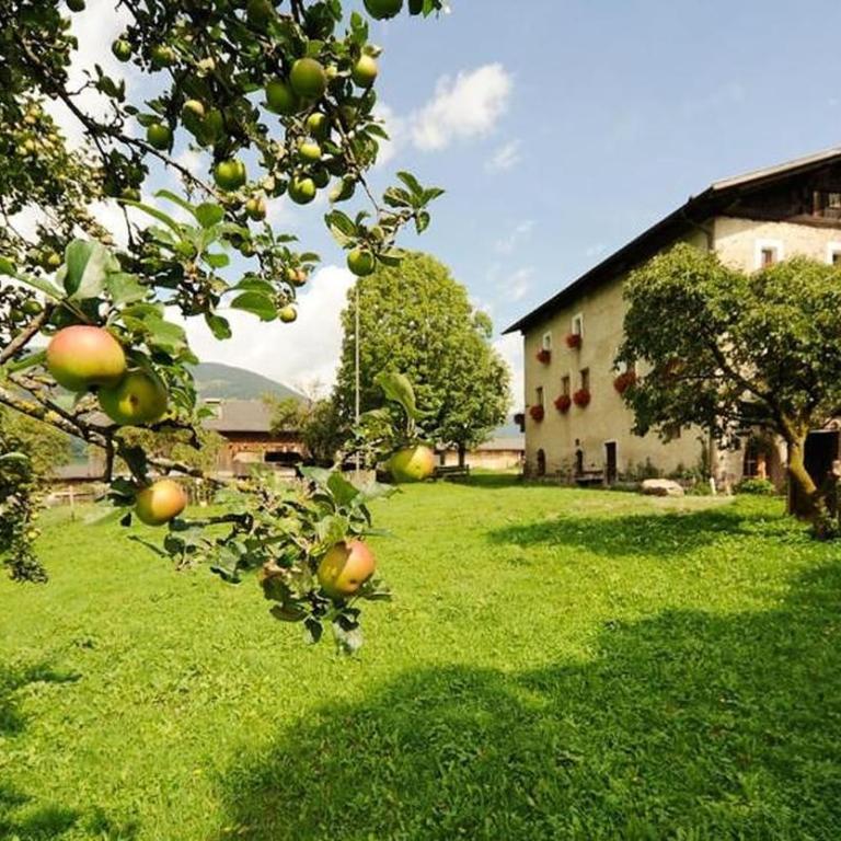 Moserhof Ferienwohnung Schartblick - Apartamento Deluxe de 2 dormitorios con vistas al jardín - 29
