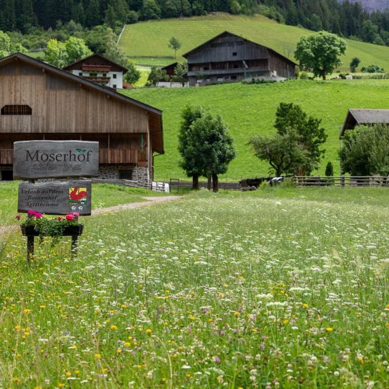 Moserhof Ferienwohnung Schartblick - Apartamento Deluxe de 2 dormitorios con vistas al jardín - 28