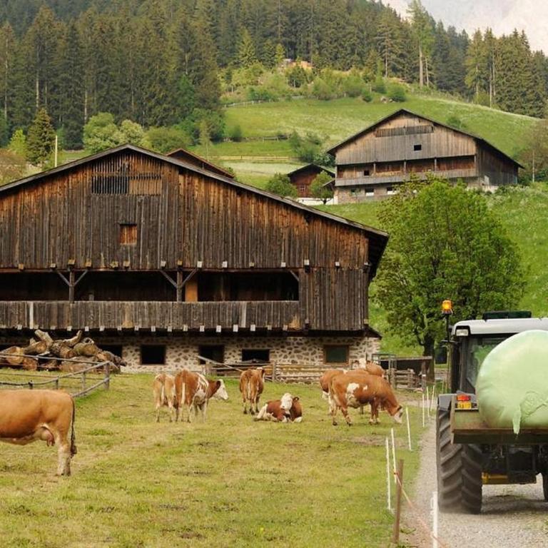 Moserhof Ferienwohnung Schartblick - Apartamento Deluxe de 2 dormitorios con vistas al jardín - 30