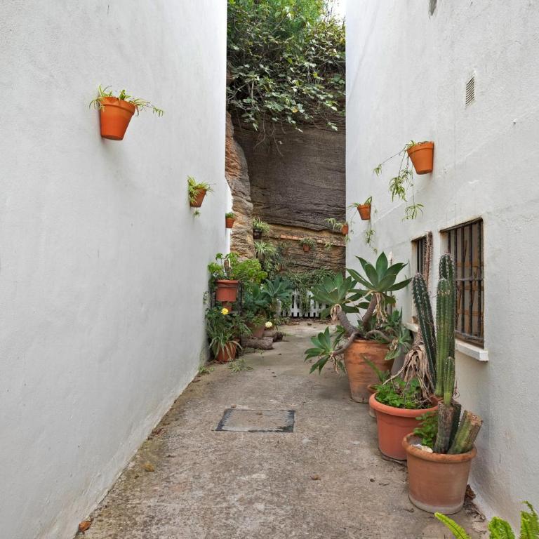 Apartamento Atalaya - Apartamento con 3 dormitorios - Frente al océano - 17