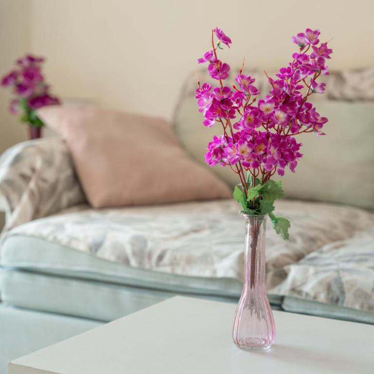 Complejo Orlando 206 - Apartamento Superior de 1 dormitorio con balcón - 21