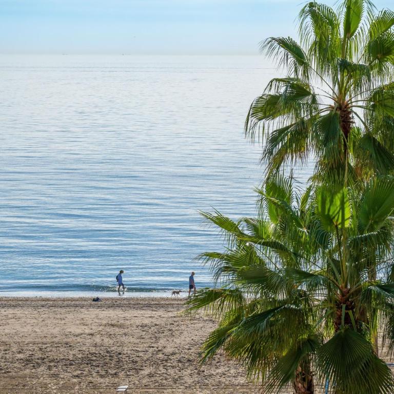 Beachfront Estepona Center - Superior One-Bedroom Apartment with Balcony - 20