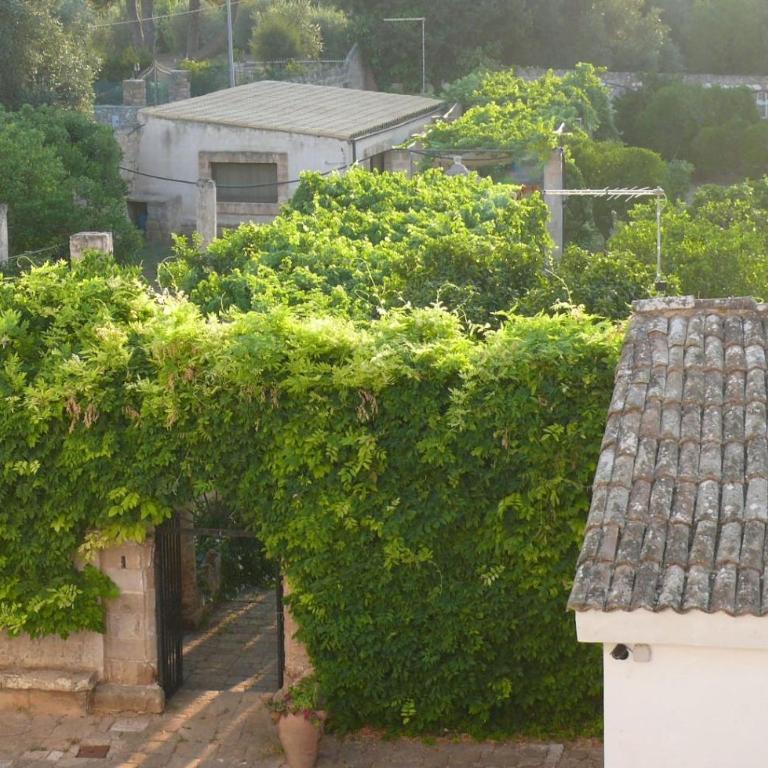 Villa Riggia - La Masseria - Villa - 11