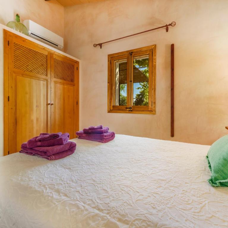 Finca Can Solivellas - Villa - 19