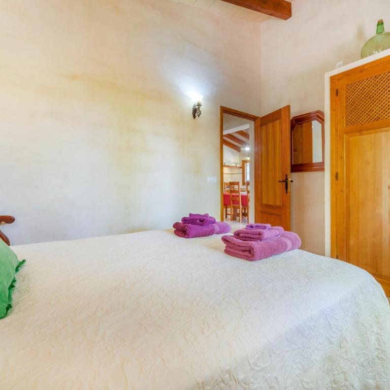 Finca Can Solivellas - Villa - 18