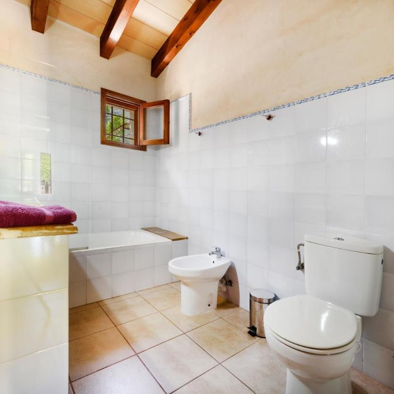 Finca Can Solivellas - Villa - 15