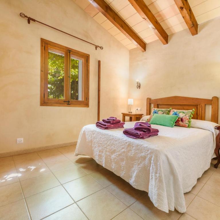 Finca Can Solivellas - Villa - 17