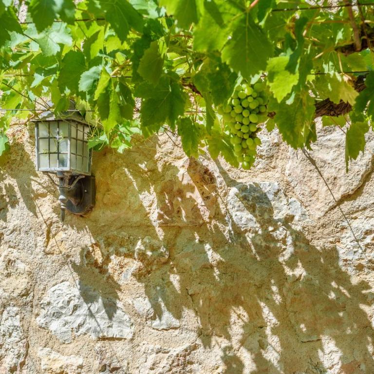 Finca Can Solivellas - Villa - 25