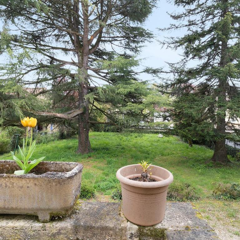 Appartement Hortensia - Apartment mit 1 Schlafzimmer und Garten - 20