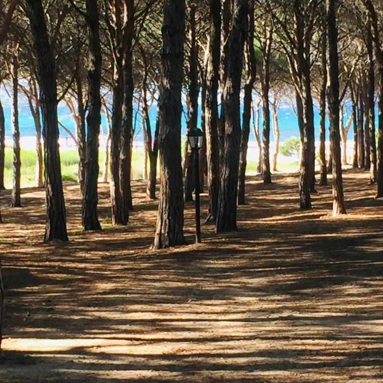 Appartamento Panorama 1 - Villa con Vista Mare - 39
