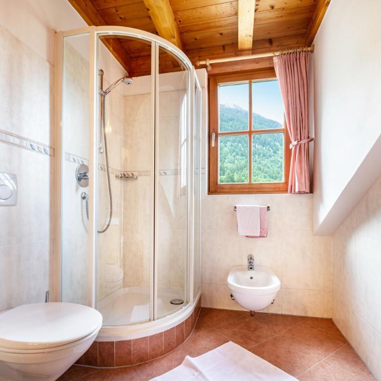 Mitterbruggehof Apt Berganemone - Appartamento Superior con 1 Camera da Letto e Balcone - 17