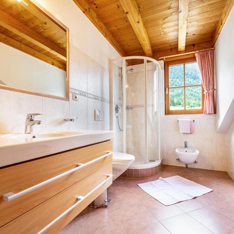 Mitterbruggehof Apt Berganemone - Appartamento Superior con 1 Camera da Letto e Balcone - 15