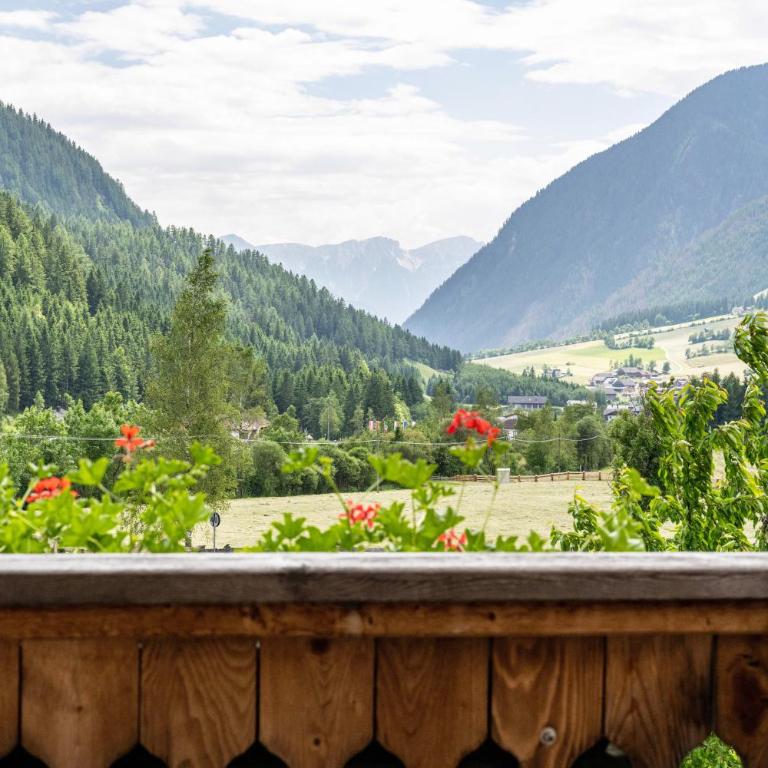 Mitterbruggehof Apt Berganemone - Appartamento Superior con 1 Camera da Letto e Balcone - 7