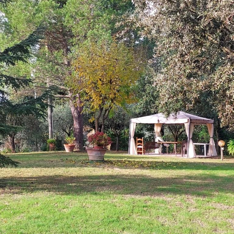 Podere Sasso 3 - Apartment with Terrace - 32
