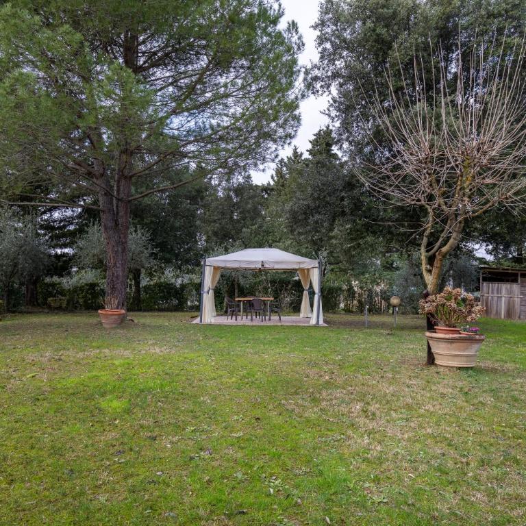 Podere Sasso 3 - Apartment with Terrace - 31