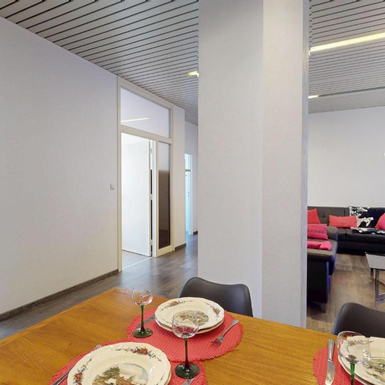 Appartement Rénové, 3 Ch. avec Parking Privé, Hyper-Centre Colmar - FR-1-744-36 - Apartment - 16