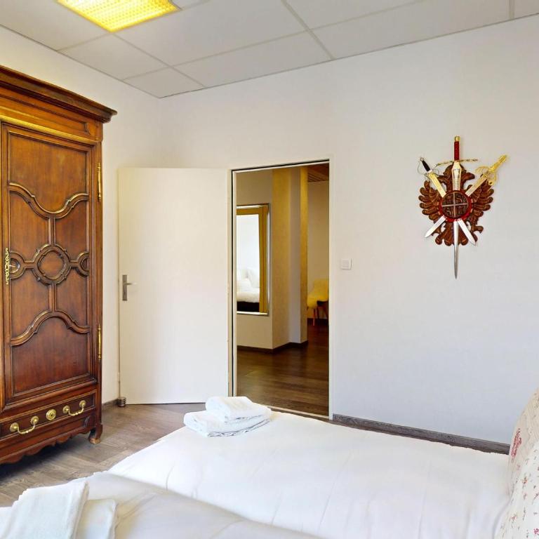 Appartement Rénové, 3 Ch. avec Parking Privé, Hyper-Centre Colmar - FR-1-744-36 - Apartment - 32