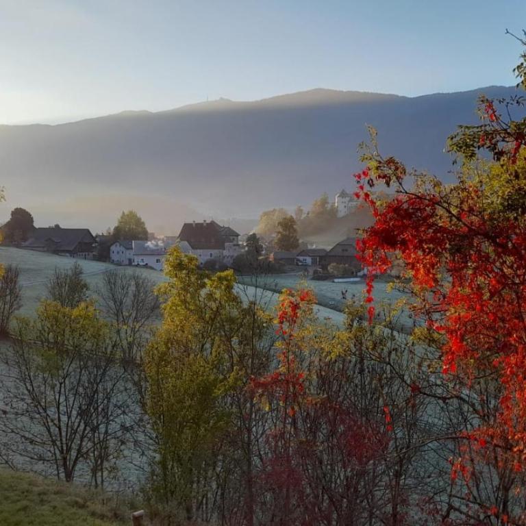 Oberwieserhof App 1 - Appartamento con 1 Camera da Letto e Vista Giardino - 33