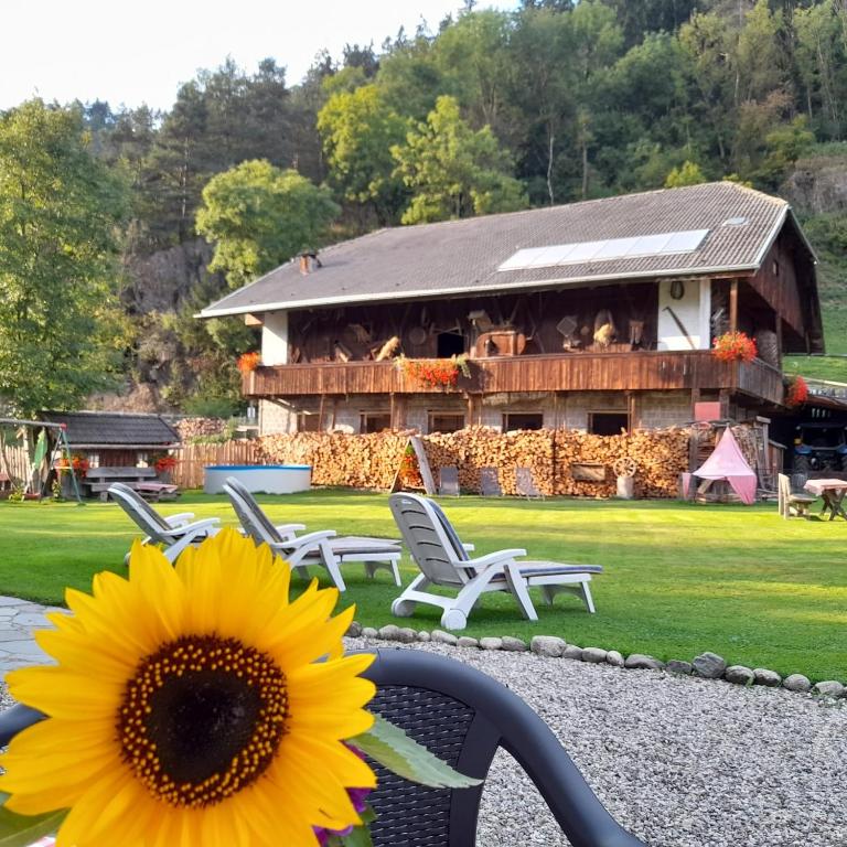Oberwieserhof App 1 - Appartamento con 1 Camera da Letto e Vista Giardino - 25