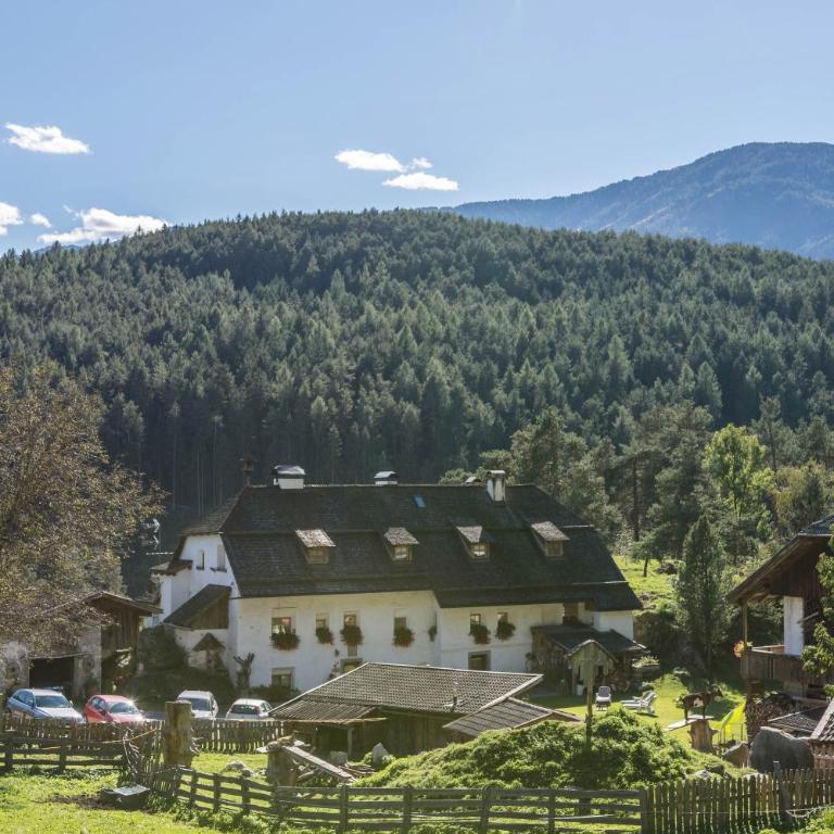 Oberwieserhof App 1 - Appartamento con 1 Camera da Letto e Vista Giardino - 30