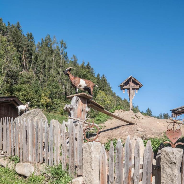 Oberwieserhof App 1 - Appartamento con 1 Camera da Letto e Vista Giardino - 32
