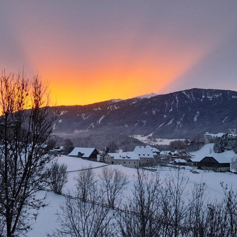 Oberwieserhof App 1 - Appartamento con 1 Camera da Letto e Vista Giardino - 34