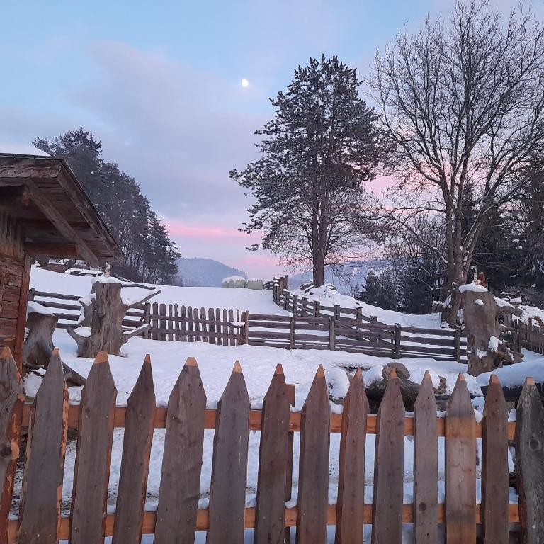 Oberwieserhof App 1 - Appartamento con 1 Camera da Letto e Vista Giardino - 36