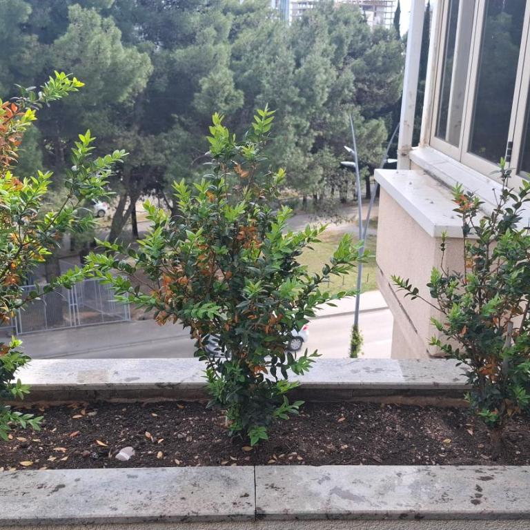 VUK's 5 min from the BEACH Two-Bedroom Apart - Apartman sa 2 Spavaće Sobe - 28