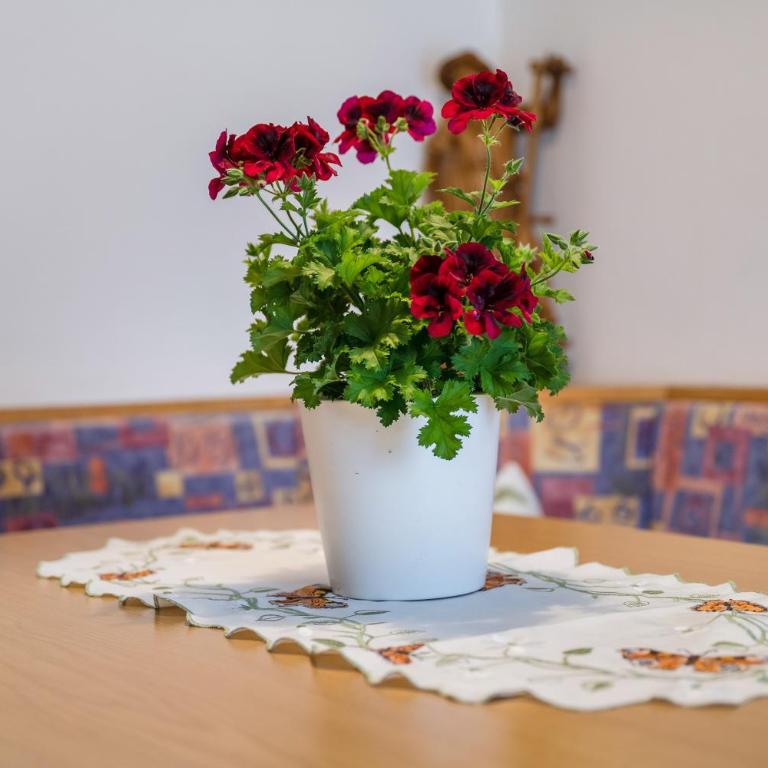 Apartment Sonnenschein - Appartamento Deluxe con 2 Camere da Letto e Vista Giardino - 7