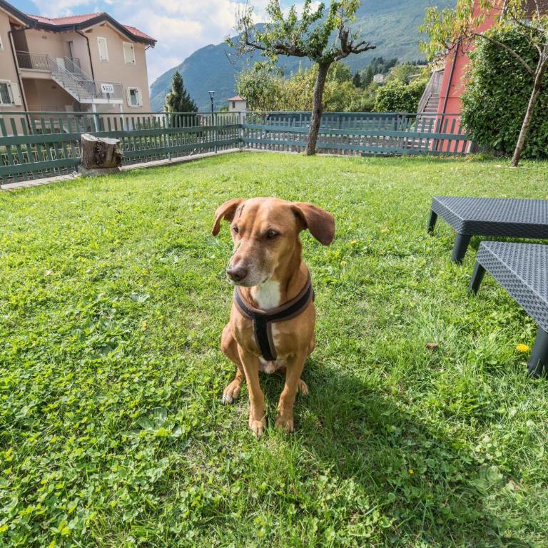 App Ciliegio Casa Demonti - Appartamento con 1 Camera da Letto e Vista Lago - 27