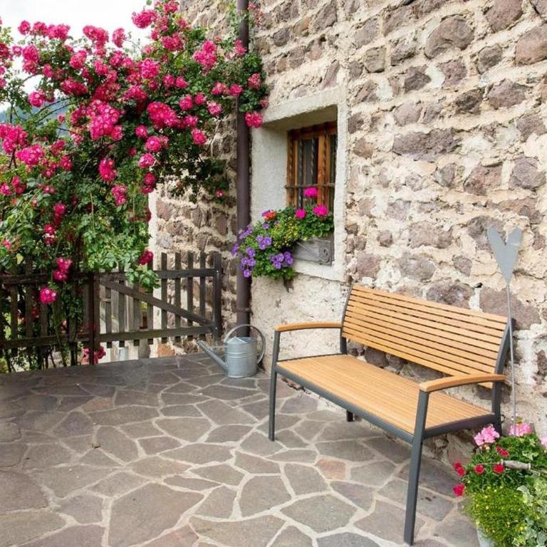 Moserhof Ferienwohnung Sunnseit - Estudio con vistas a las montañas - 21