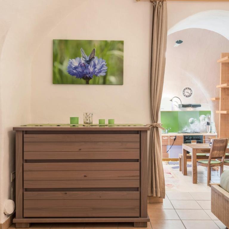 Moserhof Ferienwohnung Sunnseit - Estudio con vistas a las montañas - 17