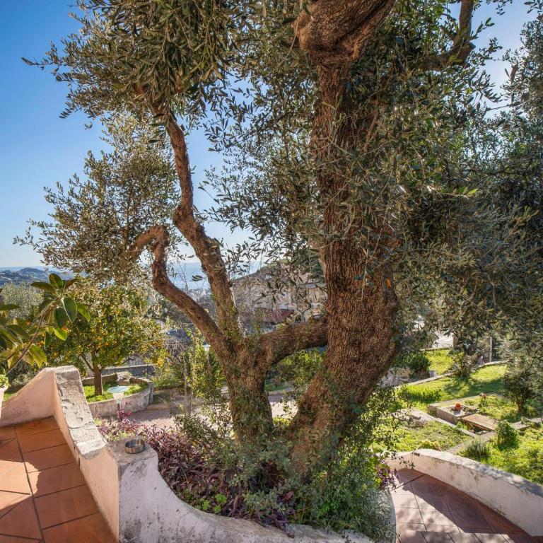 Villa In Collina Vista Mare - Villa con Vista Mare - 25