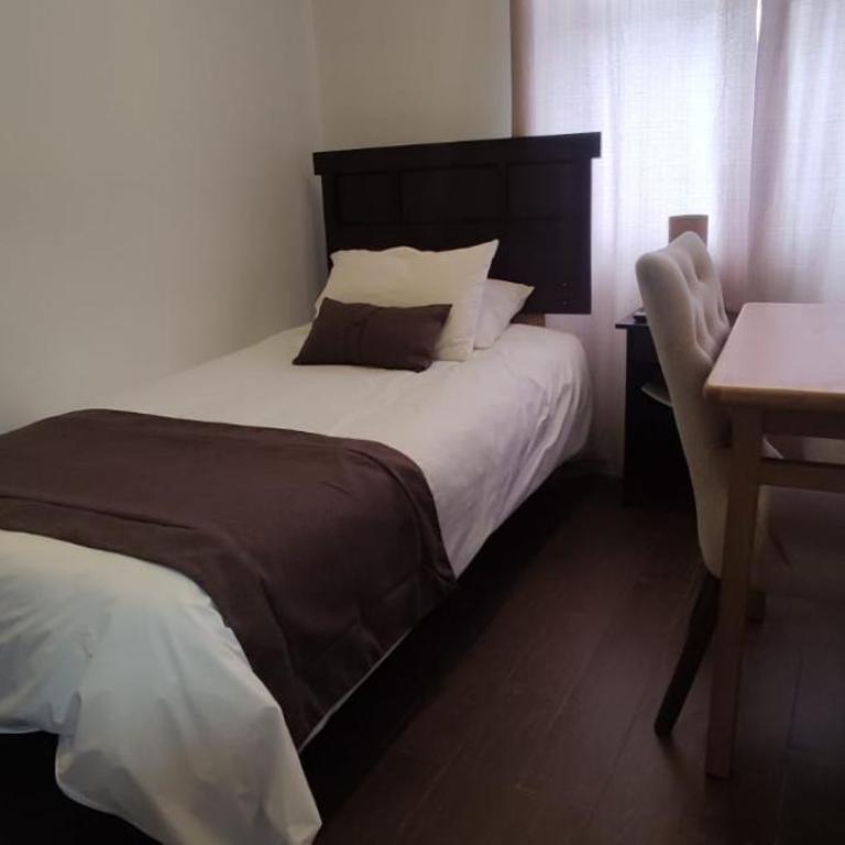 Hotel y Cabañas Pulegan - Superior Single Room - 1