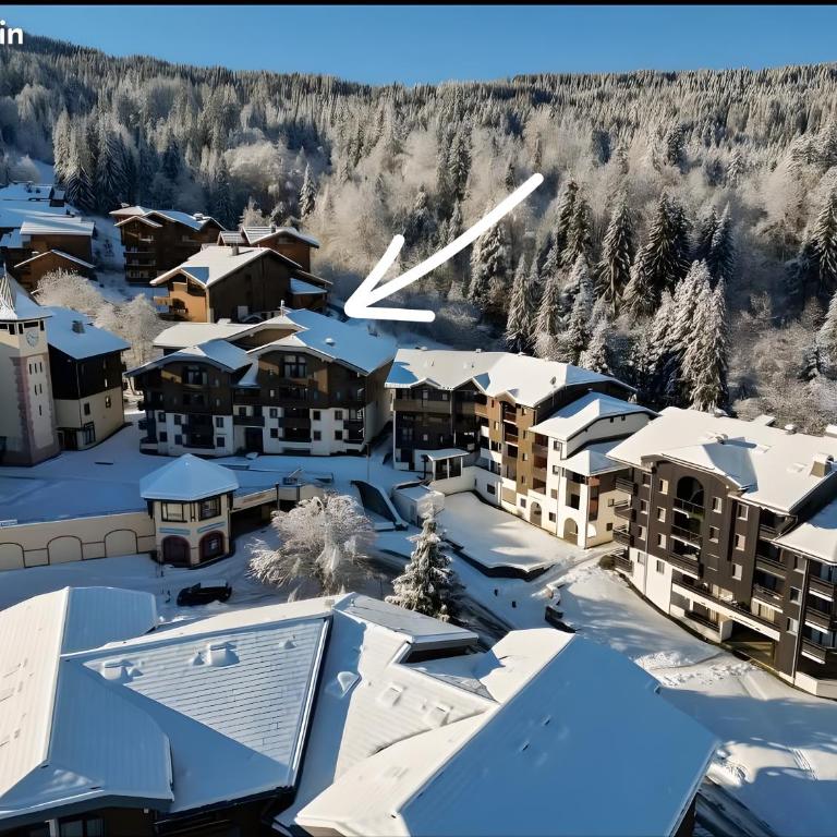 Le Cozy Tétras - Appartement 2 Chambres Deluxe avec Balcon - 30