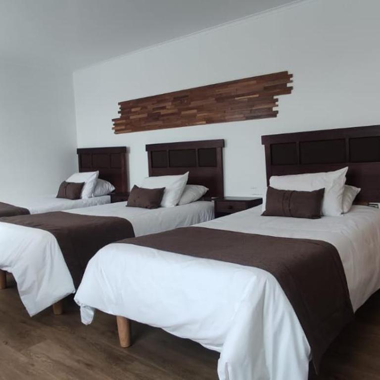 Hotel y Cabañas Pulegan - Deluxe Triple Room - 1