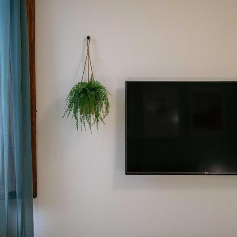 Piave House - Pisa - Two-Bedroom Deluxe Apartment with Garden View - 15
