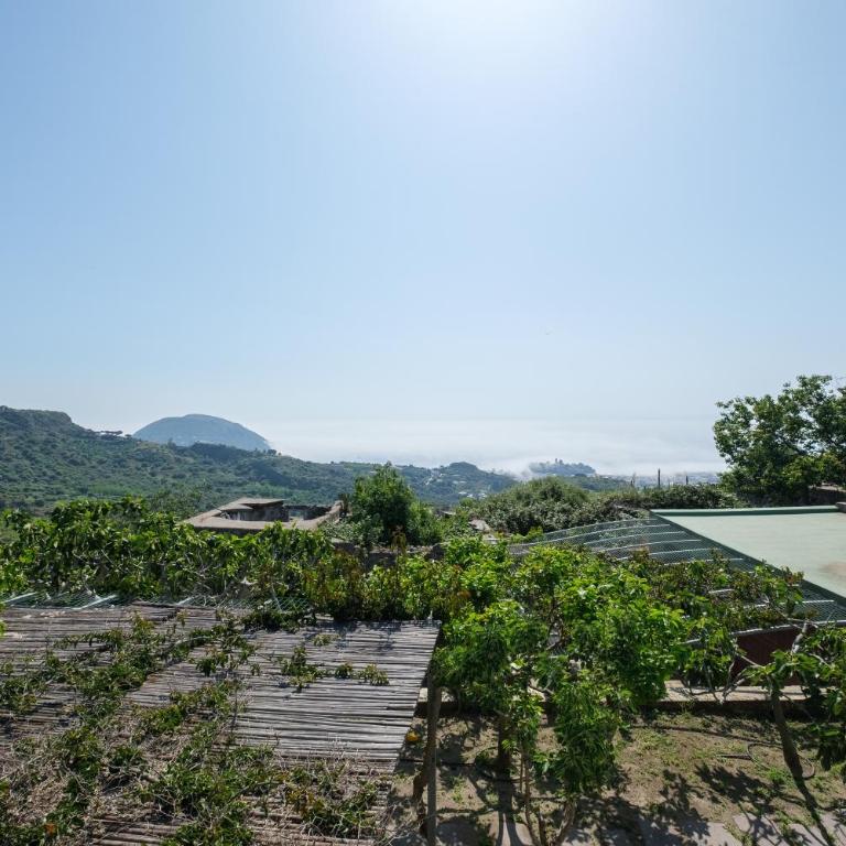 Casa della Poiana - Appartamento Monolocale con Vista Mare - 2