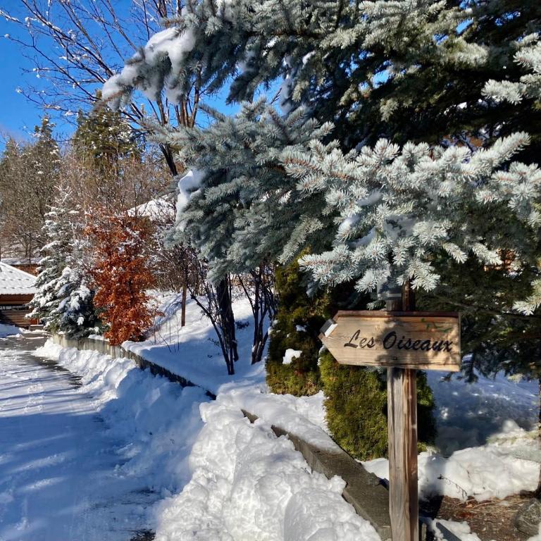 Charmant petit chalet individuel - Chalet 3 Chambres - 15