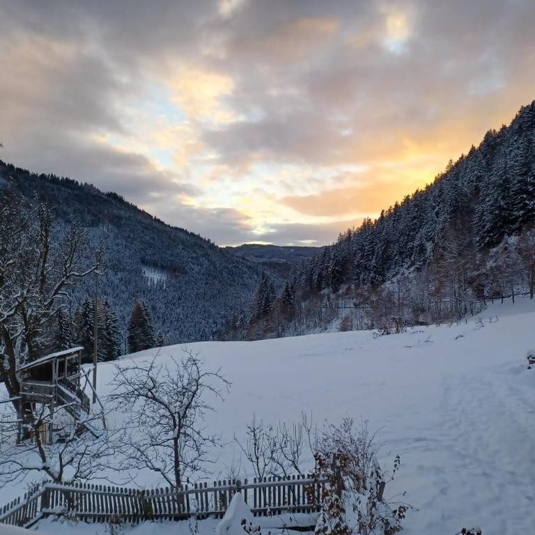 Pitschlhof Apt Lärche - Appartamento Premium con 3 Camere da Letto e Balcone - 19