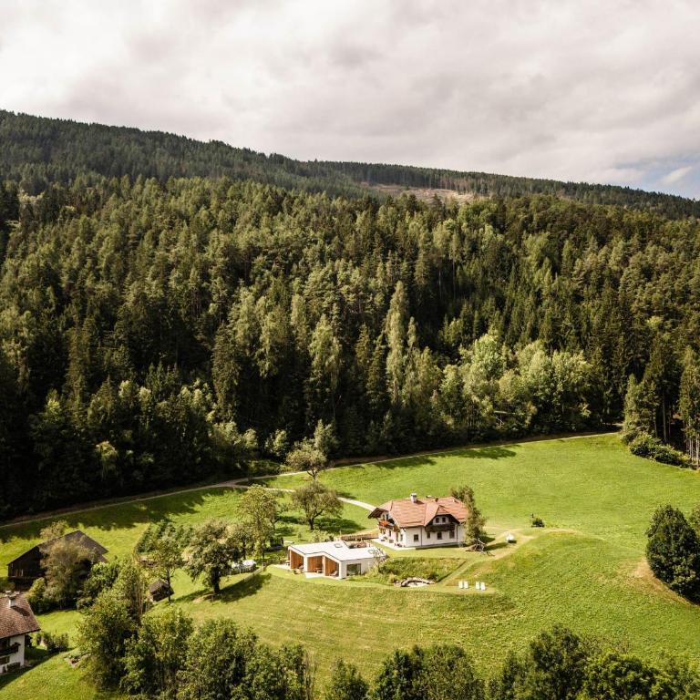 Oberplunerhof - Fewo Gitschberg - Appartamento Superior con 1 Camera da Letto e Balcone - 27