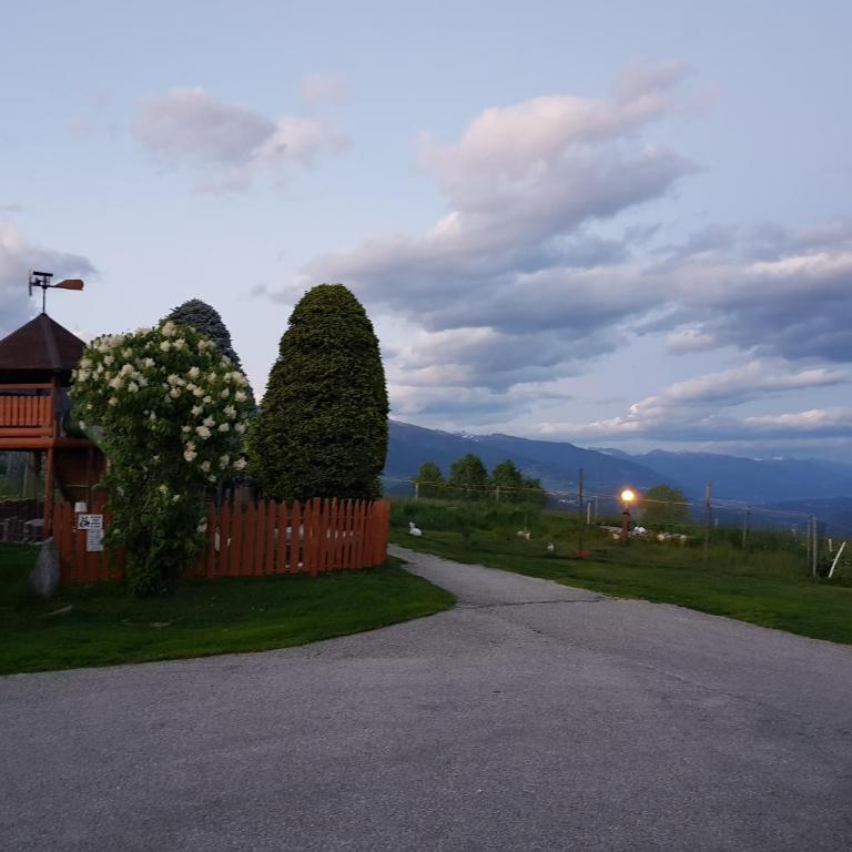 Residence Condor Apt Gitschberg - Appartamento Deluxe con 2 Camere da Letto e Vista Giardino - 20