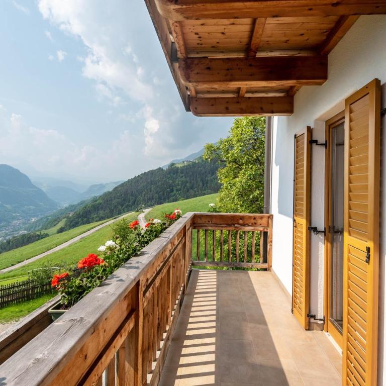 App Schlern Winklerhof - Apartamento Superior de 1 dormitorio con balcón - 20