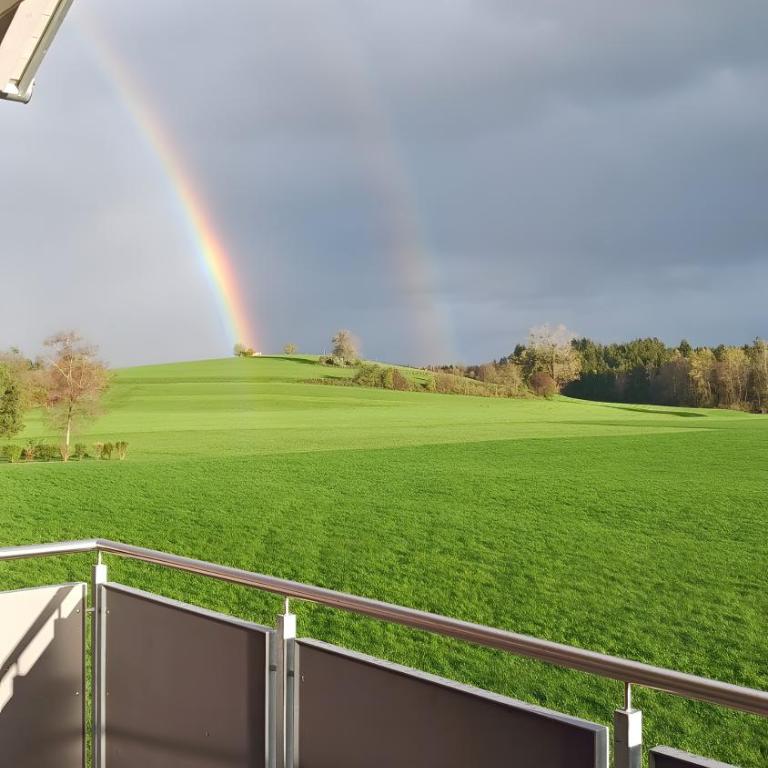 Ferienwohnung-Im Alpenblick-Wangen - Superior Apartment mit 1 Schlafzimmer und Balkon - 18