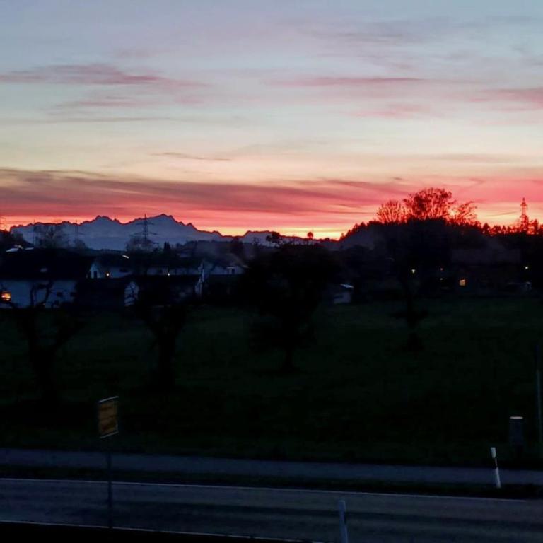Ferienwohnung-Im Alpenblick-Wangen - Superior Apartment mit 1 Schlafzimmer und Balkon - 21