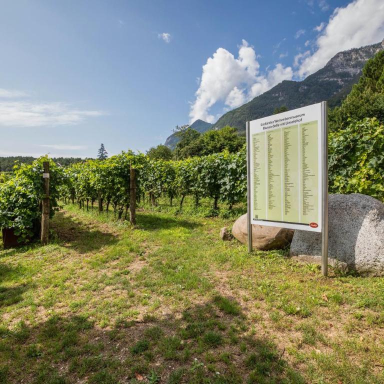 Weingut Lieselehof Apt Rosengarten - Superior Apartment mit 1 Schlafzimmer und Balkon - 20