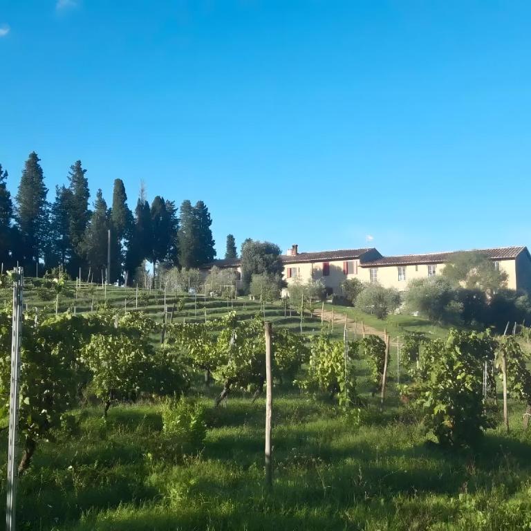 Fattoria le Caprine - Appartamento con 1 Camera da Letto e Vista Giardino - 5