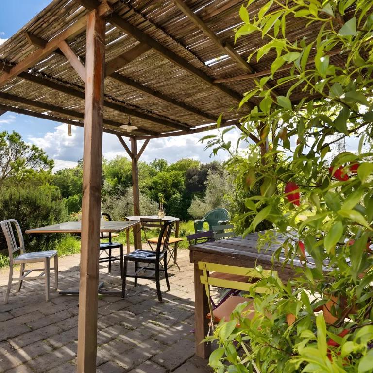 Fattoria le Caprine - Appartamento con 1 Camera da Letto e Vista Giardino - 1
