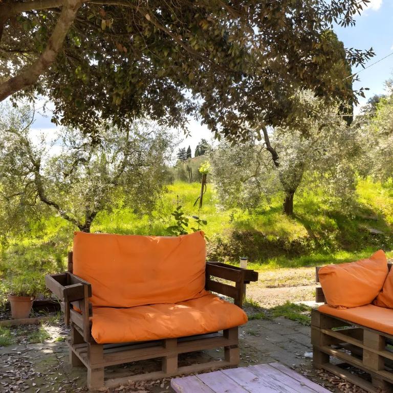 Fattoria le Caprine - Appartamento con 1 Camera da Letto e Vista Giardino - 2