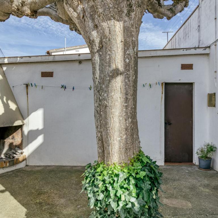 Casa Dalies - Casa de 3 dormitorios - 31